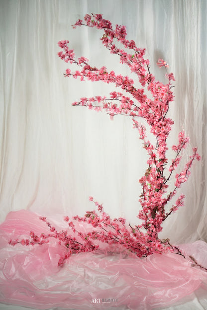 Artillimite Portrait Studio