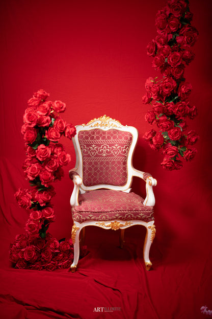 Artillimite Portrait Studio