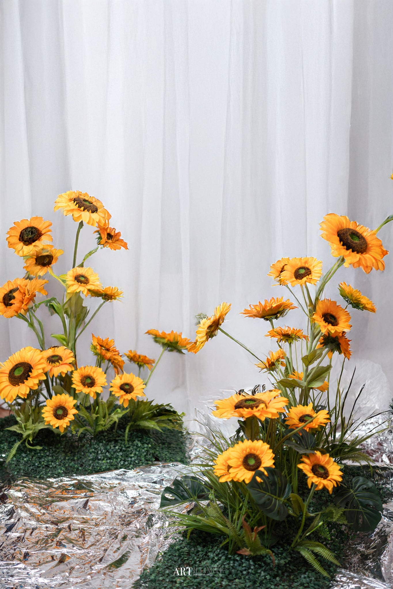 Artillimite Portrait Studio