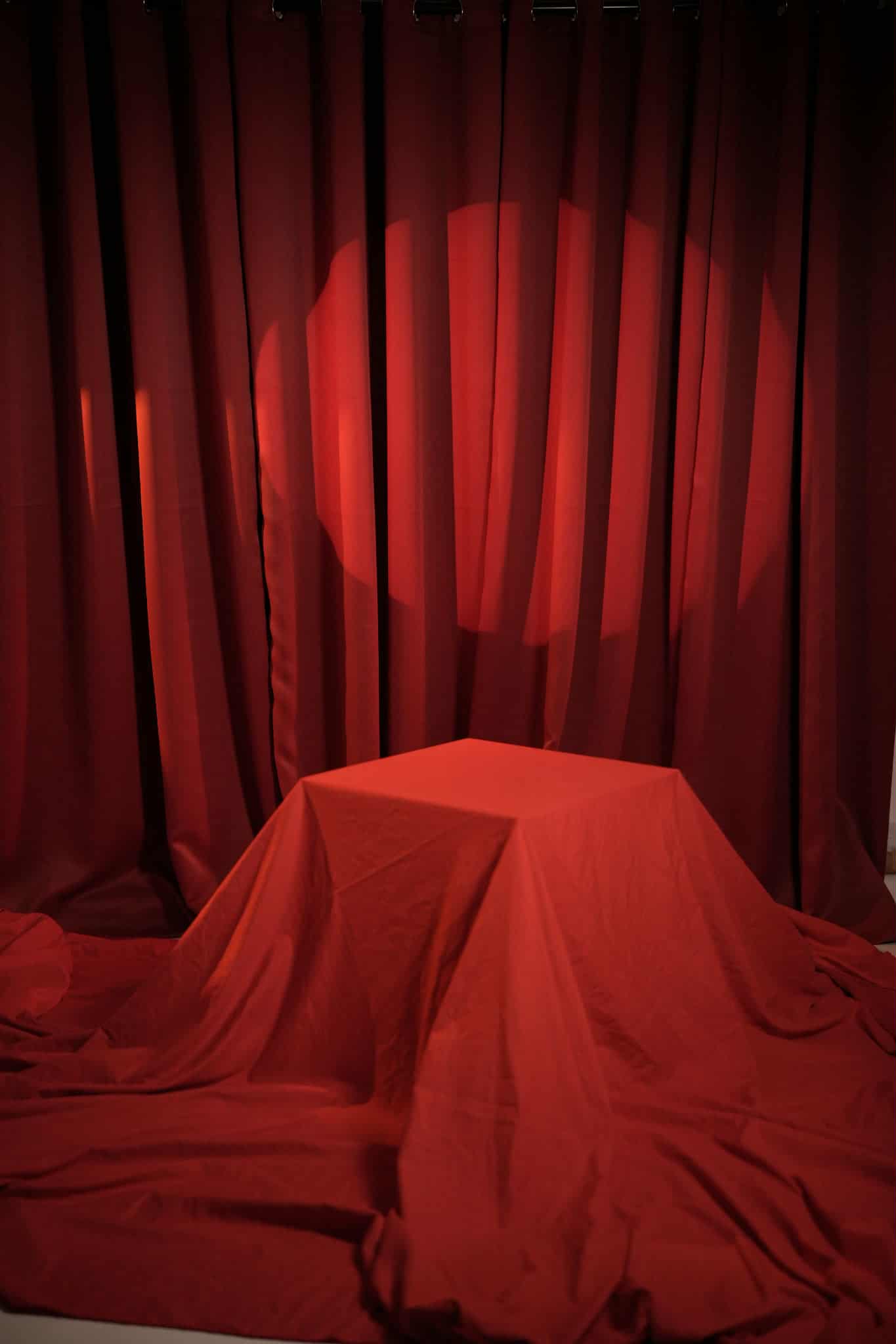 Artillimite Portrait Studio