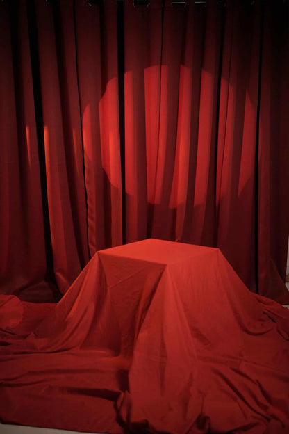 Artillimite Portrait Studio