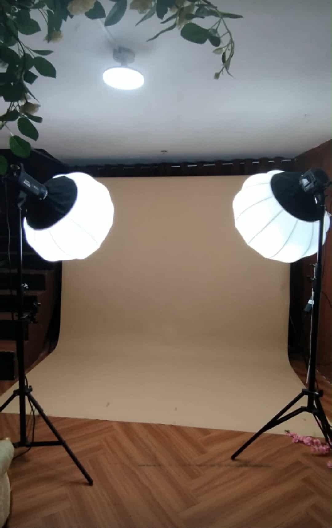 Artillimite Portrait Studio