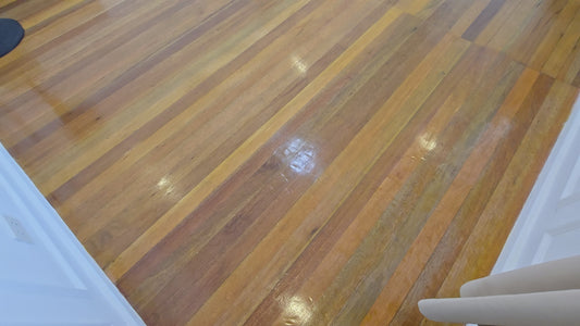 Concept Room 1 + Bathroom @ B&B Studios